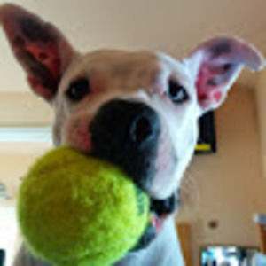 Meet your Posher, Sheila